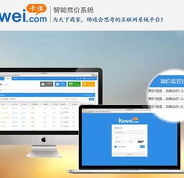 廈門二五八集團(tuán)北京服務(wù)中心 智能競價管理軟件的定制與口碑之選